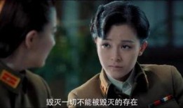 风声电视剧在线观看,揭秘谍战风云，在线观看重温经典